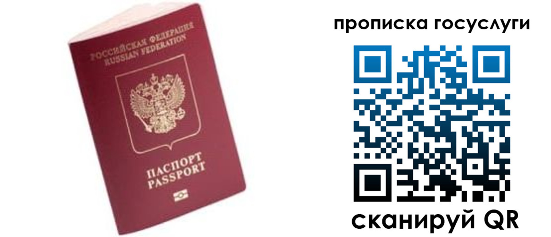 прописка в Киселёвске